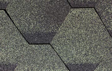 Combe St Nicholas fibreglass shingle repairs