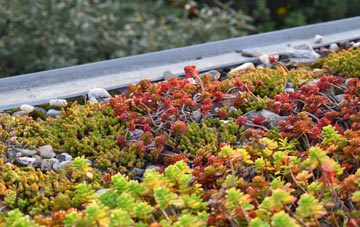 the cost of Combe St Nicholas green roof installation