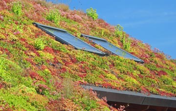 Combe St Nicholas living roof systems