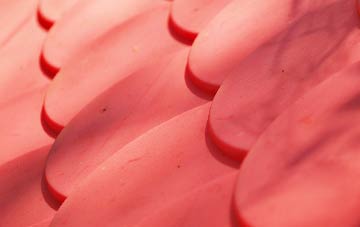 Combe St Nicholas plastic roof costs