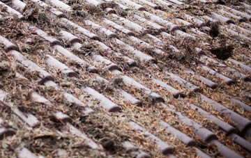 Combe St Nicholas roof cleaning companies