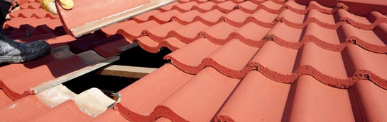 compare Combe St Nicholas roof repair quotes