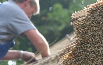 professional Combe St Nicholas thatchers