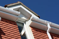 Combe St Nicholas fascias