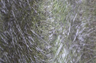 Combe St Nicholas fibreglass roof work